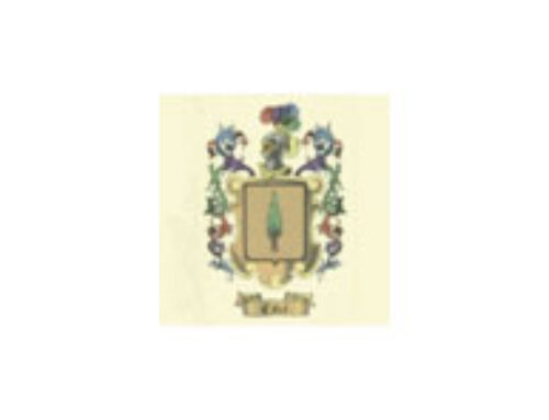 Estudio Cifré